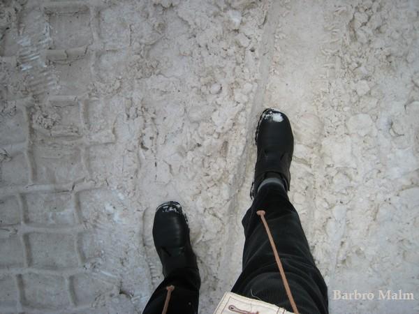 Promenad i sn�