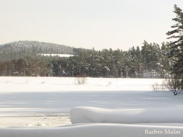 Vinterlandskap