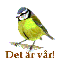 l�nk till bildspel om v�ren