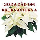 krukv�xter