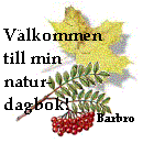 naturdagbok