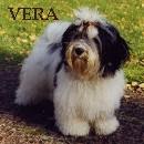 hunden Vera
