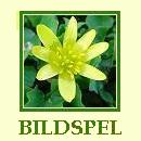 v�r i naturen, bildspel